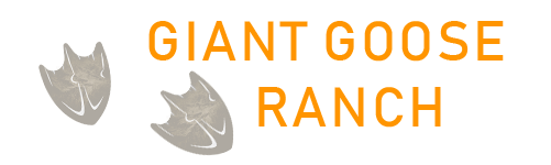 Giant Goose Ranch